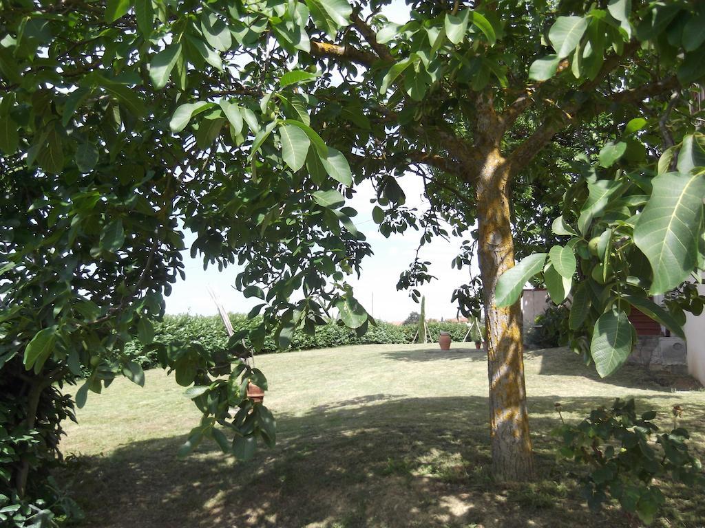 Agriturismo Le Caselle Cerbaia Δωμάτιο φωτογραφία